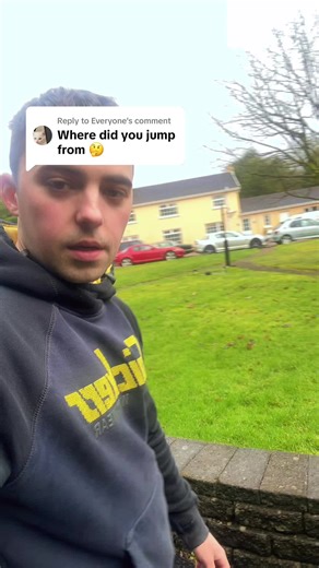 Exploring Tinted Windows for Your Car