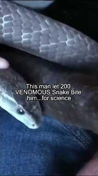 How to Survive 200 Venomous Snake Bites #Snakes #Animals #Shorts
