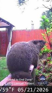 R&B Serenade for the Backyard King: A Day With Freeloader