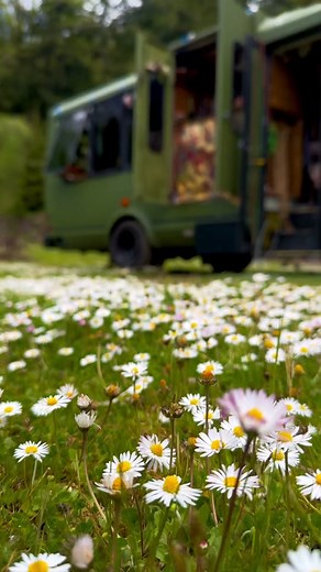 Springtime sweets in the treehouse 🍋🍓✨ #buslife #Vanlife #cozy #cozycooking #outdoorcooking #cozyathome #baketok #BakeWithMe #pnw #oregon #springhome #hyggehome #cozyhome #cottagecorevibes #lifeontheroad #busconversion #fulltimecamper #fulltimetravel #homeonwheels #tinyhouse #nomad #pnwlife #fyp