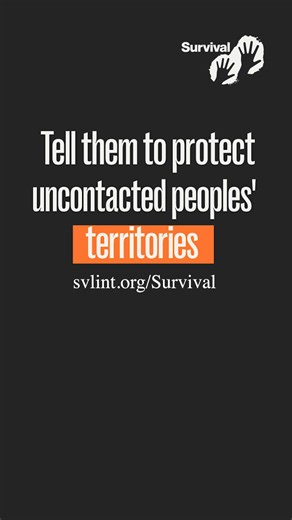 World leaders are at COP 30, discussing how to solve climate and environmental problems - but are they listening to the Manchineri and Yine Indigenous people on the ground fighting day in and day out for the survival of uncontacted peoples? Our friends from MAPPHA, an Indigenous organization, have teamed up with Yine land defenders from Peru to work on protecting the territories of their uncontacted neighbors, the Mashco Piro, who live across the Peru-Brazil border. The territories of uncontacte