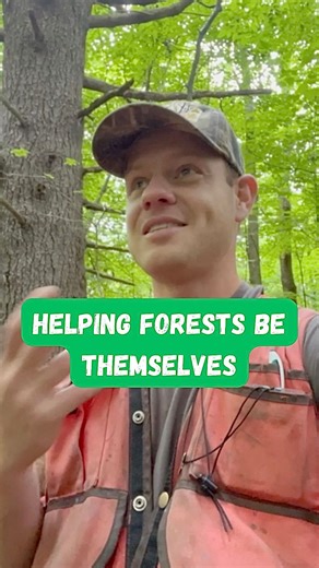 8.4K views · 2.4K reactions | How can we help forests “be...