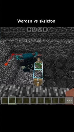 warden vs skeleton fight | #minecraft #gaming