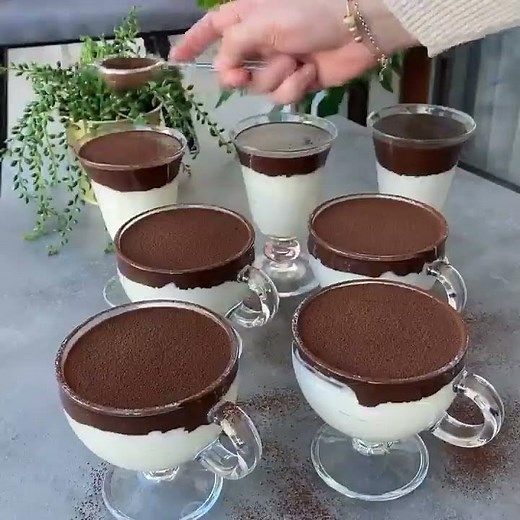 A very light and delicious dessert (7)