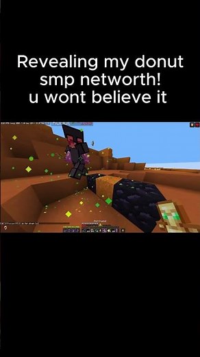 My donut smp networth