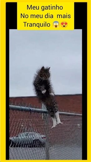 se você ama a Jesus, inscreva-se no nosso canal