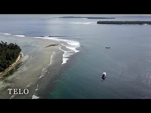 Surfing Telo | West Coast
