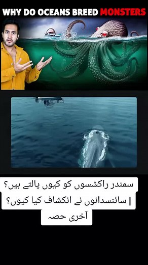 Why Do OCEANS Breed MONSTERS? | Scientists Reveal Why #foryou #foryoupage #trending #viralvideo #zemtv