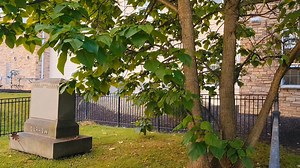 The DARROW, family Cemetery, literally against the back of a rehabilitation center in Seven Hills, Ohio. Imagine the care taken when building this massive building by this small family Cemetery. It's location and fact such care has been taken to protect it, makes it a must visit. #gravestone #cemetery #Ohio #graveyard #cemeteryphotography #cemeteries #history #sevenhills #graveyard #headstone #preservation | Ohio History Hunter