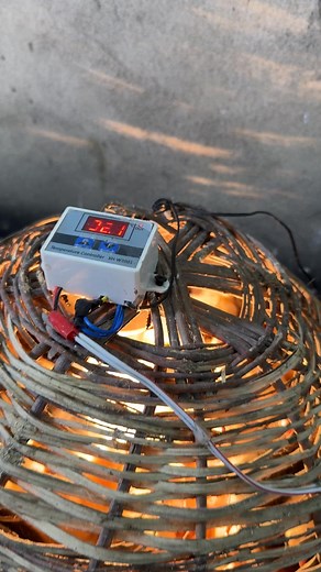 3.3M views · 29K reactions | Incredible hatching idea | Mian Inventions | Facebook