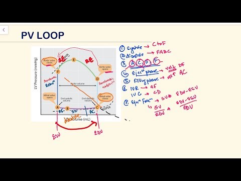PV loop Ventricular Pressure Volume Loop Physiology