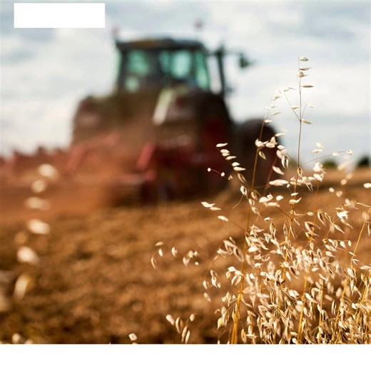 7.4K views · 16 reactions |  In this week’s Farmers Weekly podcast, dairy farmers could launch legal action over back-dated milk price cuts. LISTEN NOW: https://ow.ly/z5v750XjQIs | Farmers Weekly | Facebook