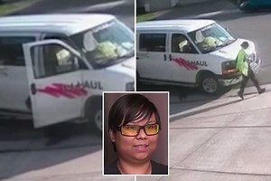 Amazon delivery driver caught having a poo on customer's driveway