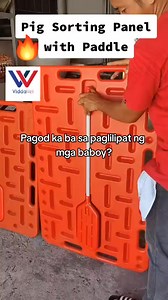 8.4K views · 81 reactions | Pig sorting board with paddle | David Swine A.I. Center, Inc. | Facebook
