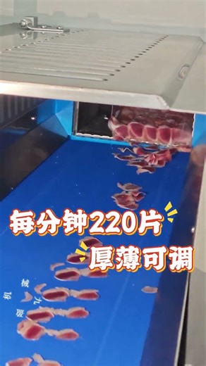 九盈机械冻肉砍排机25K切鸡胗块，适用冷冻肉类、肥牛、牛羊排等食品切片 Frozen Meat Slicer 25K – Frozen Chicken Gizzard Block Slicing