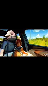 Downloading some of #lowrider #Gopro #comedy #cutedogs actioncamera #Akoso #doxiesoftiktok #mamingmemories #POV #viewersfriendsfollowersnonfollowers #outdoors #trails #beachlife #offseason #almostfridayvibes #creatorsupport #influencerlife #dachshundlove #justus #followdreams #furrbaby #minaturedoxie #sausagedog #minaturedachshund #weeniedogs #wienerdogs #lowriderlifestyle #lowriders | Ramsey the Wiener