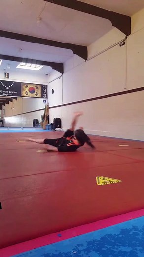#martialarts #flexibility #art #fypシ゚viral #hapkido #artesmarciales
