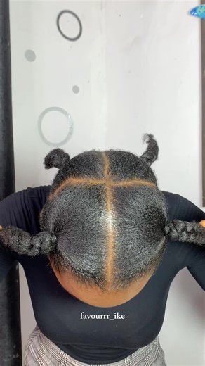 Stand Out with 4 Big Box Braids | Jumbo Braids Styles