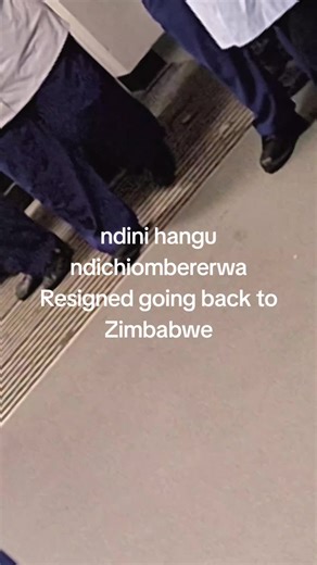 Returning to Zimbabwe