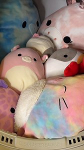 Shake out the sheets BEFORE the wash! How many is TOO Many? #stuffedanimals #stuffies | Steve Js Short Cuts