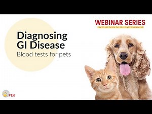 Blood Tests for Gastrointestinal Disease in Dogs and Cats - VDI Laboratory