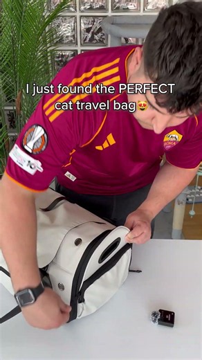 Okay… this might be the best cat travel bag ever 👀