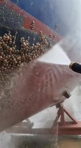 Effective Barnacle Removal from Boats at Dry-Dock
