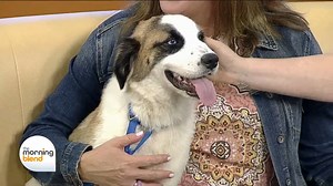 26 reactions | ❤️ Meet Bandit!! Registrations for fall youth...