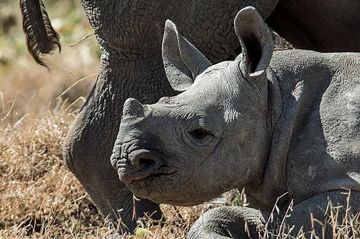 Teflon™ Profile Cookware