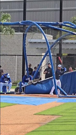 Daulton VARSHO Toronto Blue Jays Outfielder Batting Practice Spring Training 2025 #sbvzla