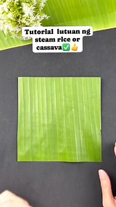 173K views · 1.1K reactions | Tutorial sa paggawa ng lutuan ng steam rice or cassava #steamrice #cassava #tutorial #tips #informative | Things around blogs | Facebook