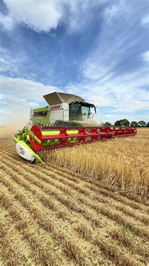 CLAAS Lexion 8800 Harvesting Barley with Slow-Motion Header