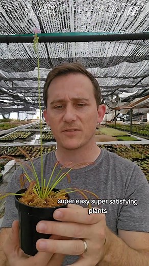 Predatory Plants on Reels