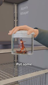 2.8M views · 24K reactions | How Cockroach Car is Made 荒 | Atom's Whisper | Facebook