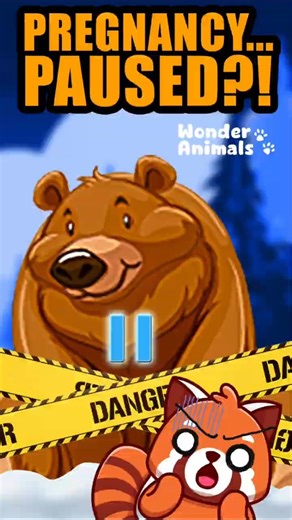 How Bears Put Their Babies on Hold #wildlife #survival