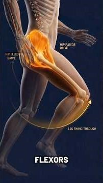 3 Exercises For Leg Strength After 60