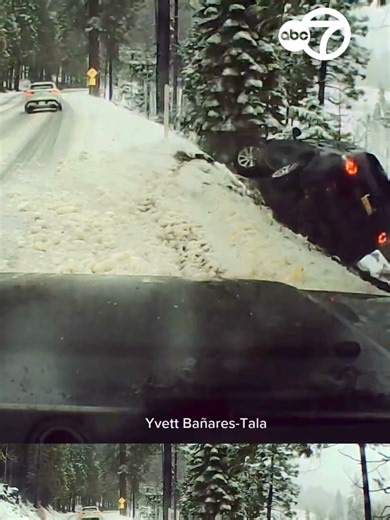 Heroic Rescue Near Lake Tahoe: Staff Sargent and Good Samaritans Save Couple and Dogs