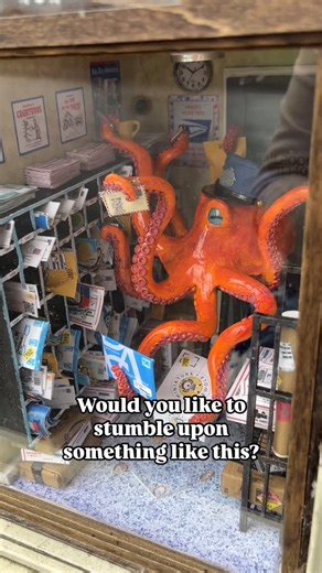 PDX Dinorama / Sidewalk Joy on Instagram: "I drove six hours round trip in one day to see this. Absolutely worth it. Bless the people like @miniaturewerewolf who add whimsy to everyday life. @miniaturewerewolf is an incredible human and super amazing miniaturist. Her tutorials are very helpful and worth checking out! #pnw #diorama #sidewalkjoy #miniaturewerewolf #octopus #miniature #publicdiorama #mini #seattle #cute #whimsical"