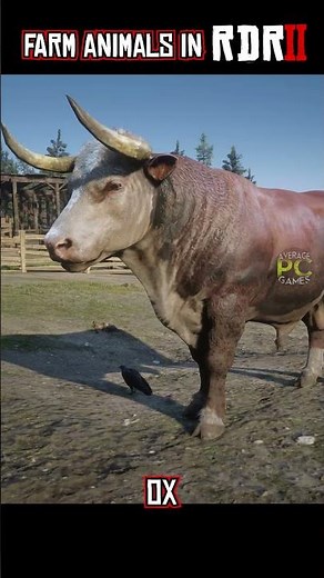All Farm Animals in Red Dead Redemption 2