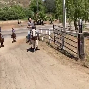 13K views · 261 reactions | My newest vlog is live on my YouTube channel! Tap the link for the full video https://youtu.be/g4513CiakJs | Buttery Films | Facebook