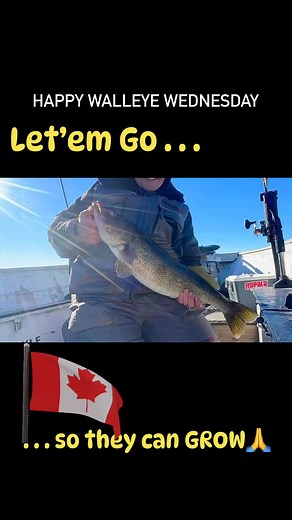 1.2K views · 39 reactions | Canadian Fishing Network on Reels | Facebook