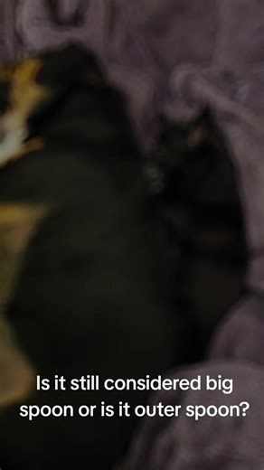 Big Spoon vs Outer Spoon: Adorable Dog Cuddles