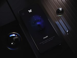 FaceID Animation Concept