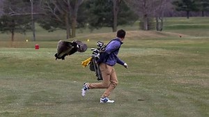 High school golfer attacked by goose in hilarious set of photos