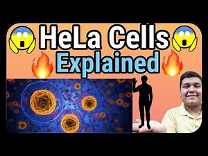 HeLa Cells Explained in Detail | The immortal cells of Henrietta Lacks Video Lecture - NEET