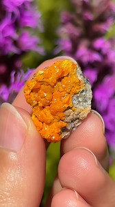 How many of these orange crystals do you know? 🍊🤓 #crystals #gemstones #minerals | Spirit Nectar