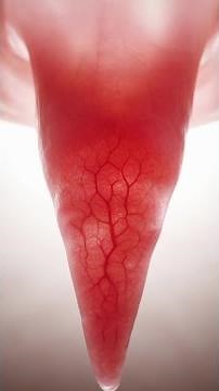 What the dangly thing in your throat actually does