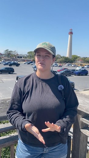 Migration update from Morning Flight! This weeks Wednesdays from the Watch we are recapping the recent movement of songbird migrants with our Morning Flight Counter, Gautam Apte. We’ve seen some great warbler diversity in September at our Morning Flight platform! If you want to see that same diversity come visit out naturalists at the platform everyday from sunrise to two hours after sunrise! Stay in the know about migration in Cape May with Wednesdays from the Watch! Stay tuned for more updates