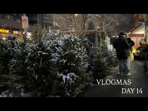 vlogmas day 14!! a Sunday clean out, finals prep, and taking it easy