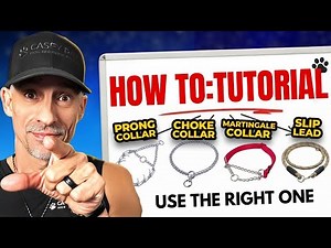Dog Training Collar Tutorial: How To Fit & Use Properly